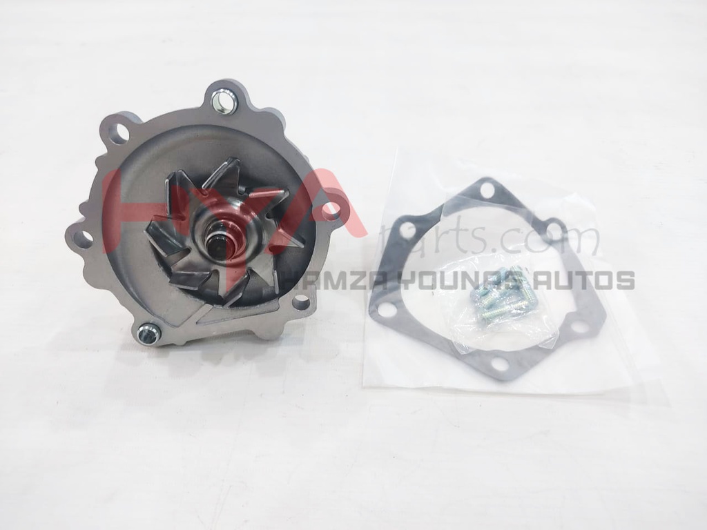 PUMP ASSY, ENGINE WATER (WATER BODY)