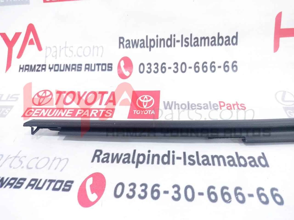 MOULDING ASSY, FRONT DOOR BELT, LH