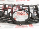 GRILLE, RADIATOR (FRONT SHOW GRILL)