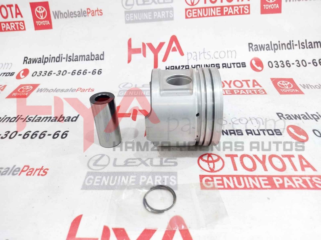 PISTON SUB-ASSY, W/PIN