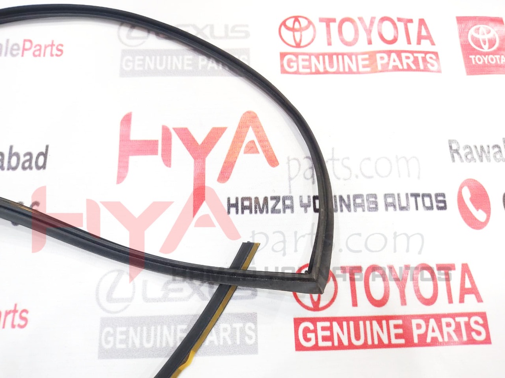 MOULDING, WINDSHIELD