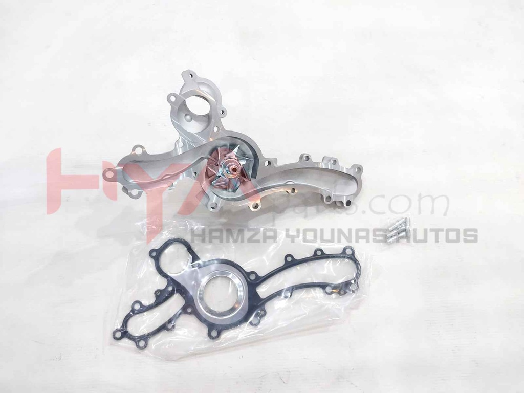 PUMP ASSY, ENGINE WATER (WATER BODY)