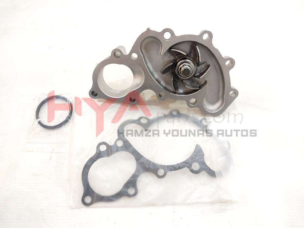 PUMP ASSY, ENGINE WATER (WATER BODY)