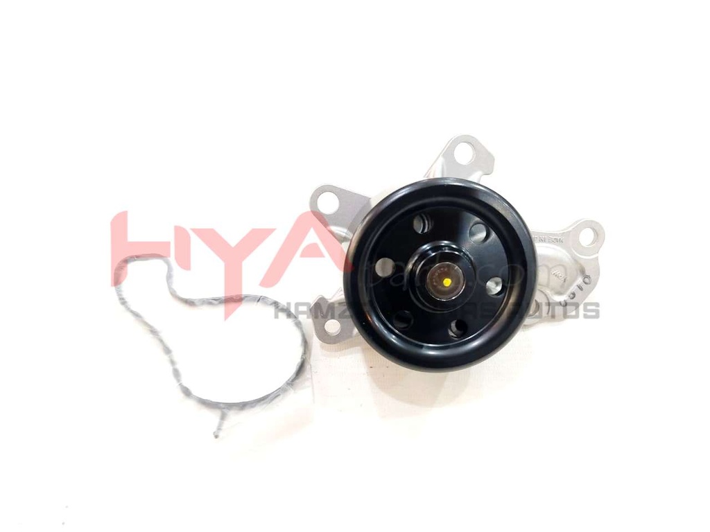 PUMP ASSY, ENGINE WATER (WATER BODY)