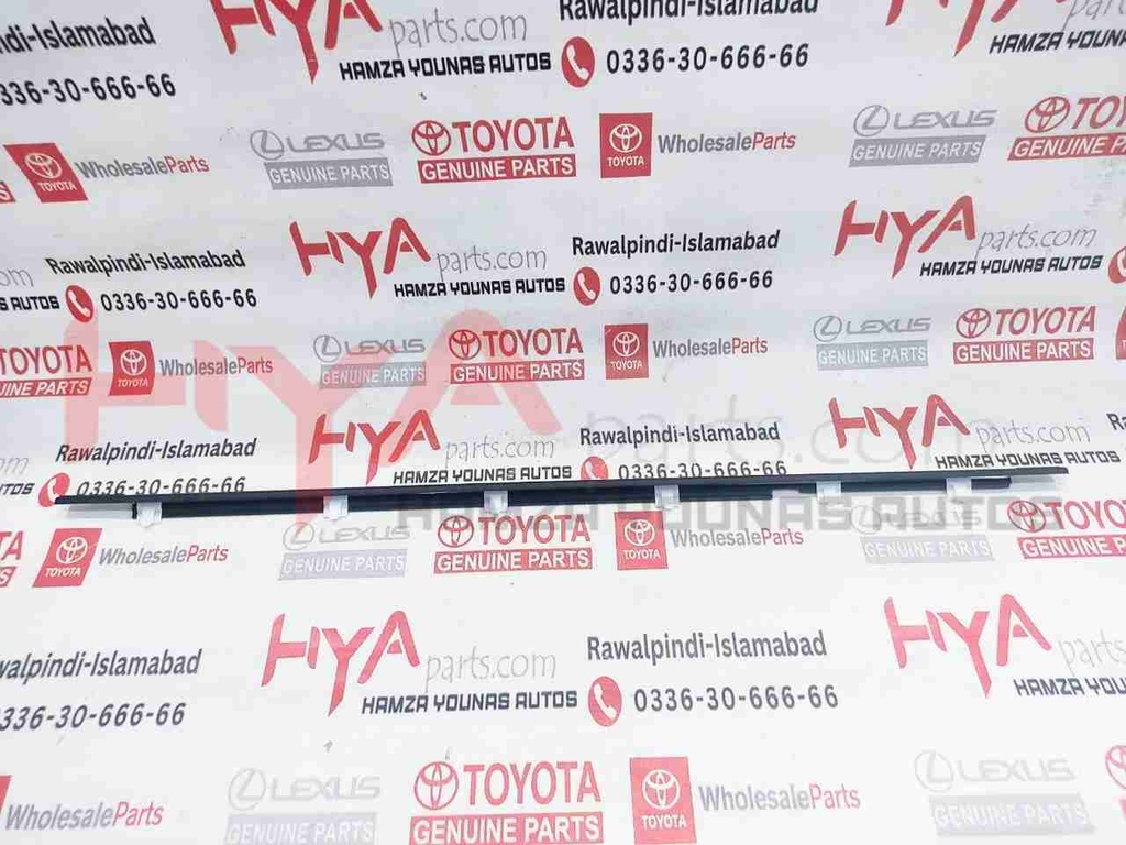 MOULDING ASSY, REAR DOOR BELT, LH