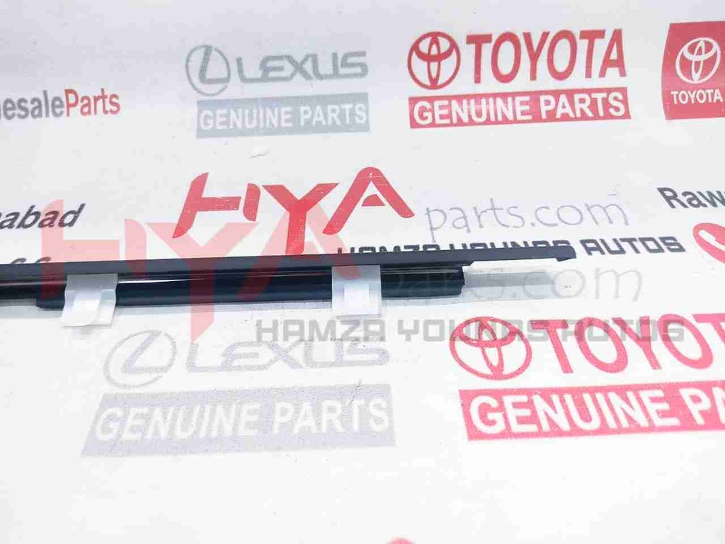 MOULDING ASSY, REAR DOOR BELT, LH