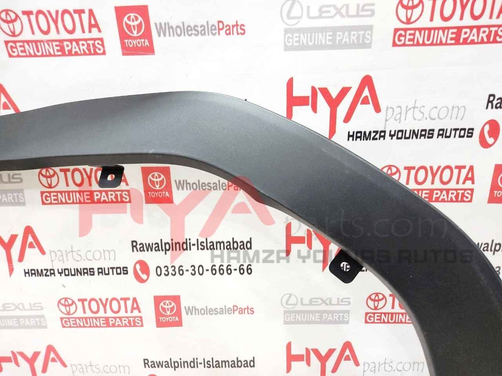 MOULDING SUB-ASSY, FRONT FENDER LH