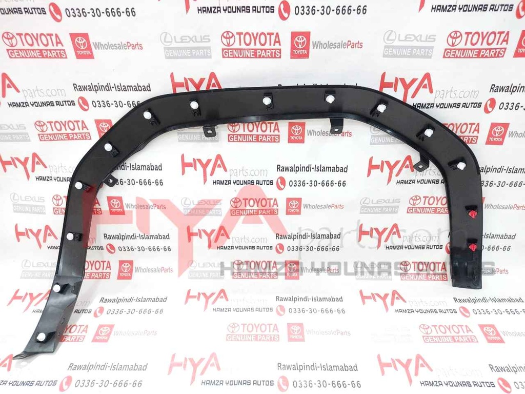 MOULDING SUB-ASSY, FRONT FENDER LH