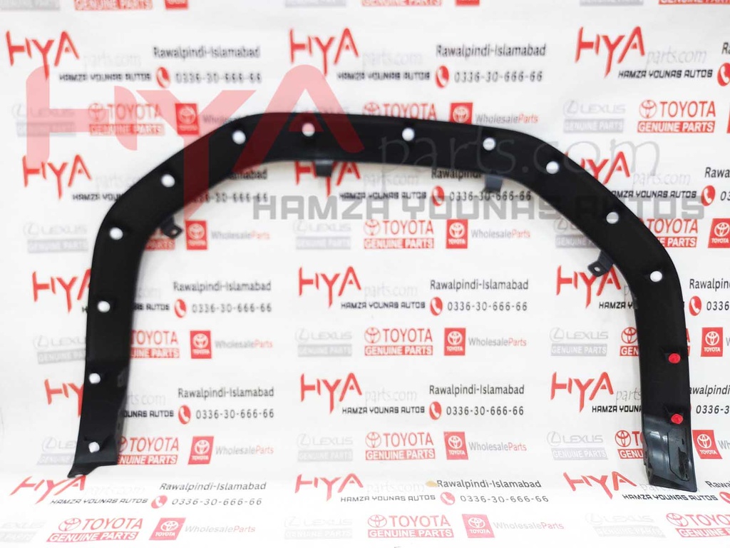 MOULDING SUB-ASSY, FRONT FENDER, LH