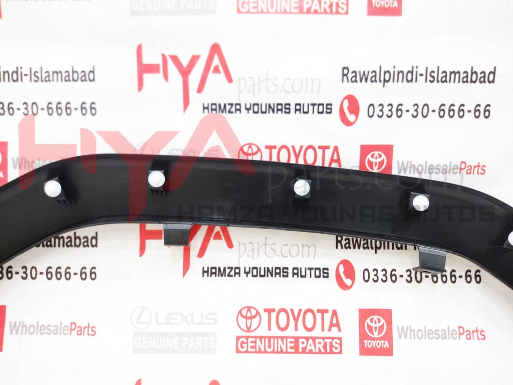 MOULDING SUB-ASSY, FRONT FENDER, LH