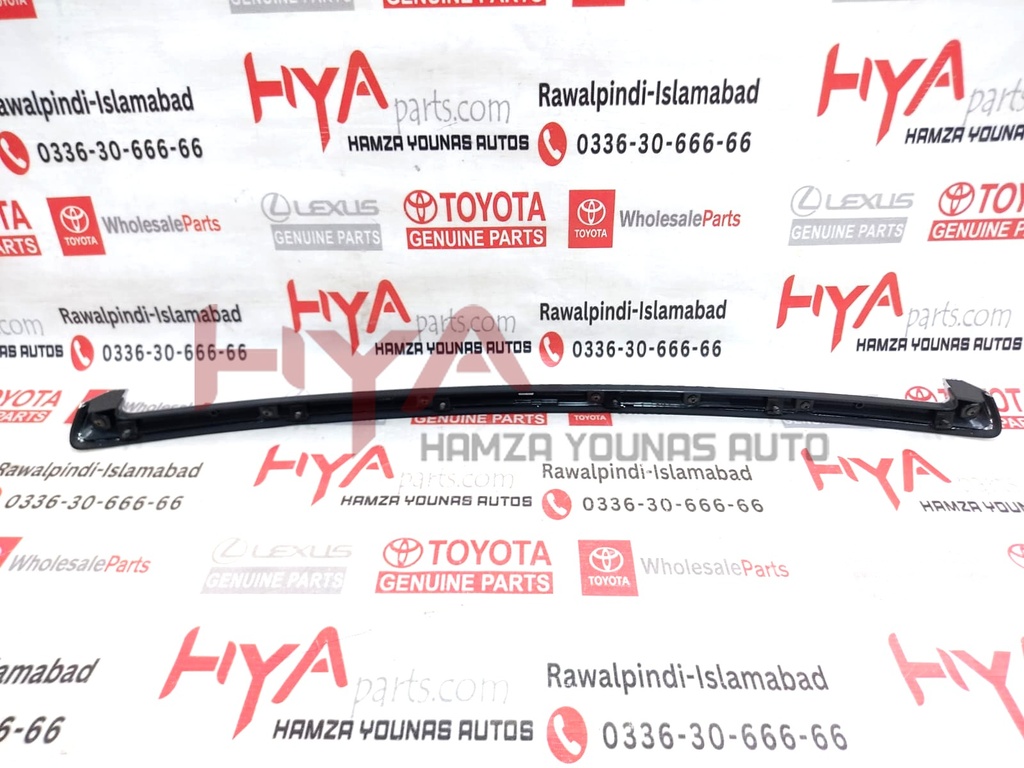 MOULDING ASSY, HOOD, FRONT