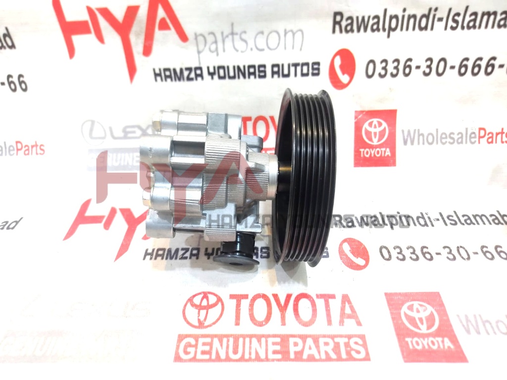 PUMP ASSY, VANE (POWER STEERING PUMP)