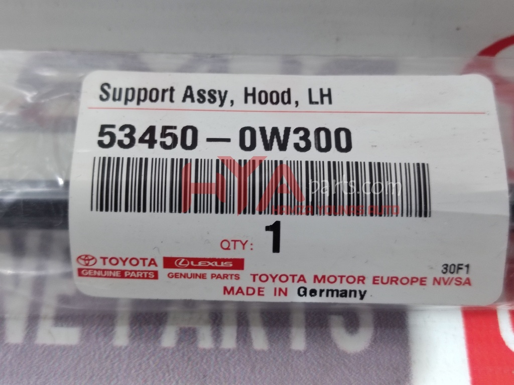 SUPPORT ASSY, HOOD, LH