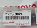 MOULDING ASSY, FRONT DOOR BELT, RH