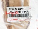 MOULDING SUB-ASSY, FRONT FENDER, RH