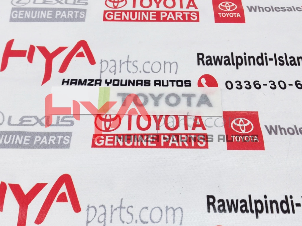 PLATE, BACK DOOR NAME