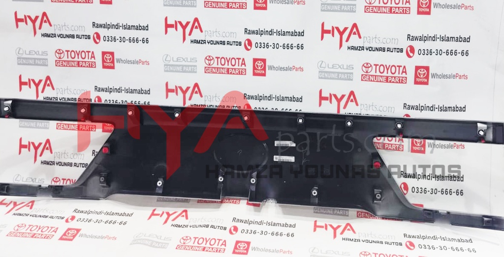 GARNISH SUB-ASSY, BACK DOOR, OUTSIDE