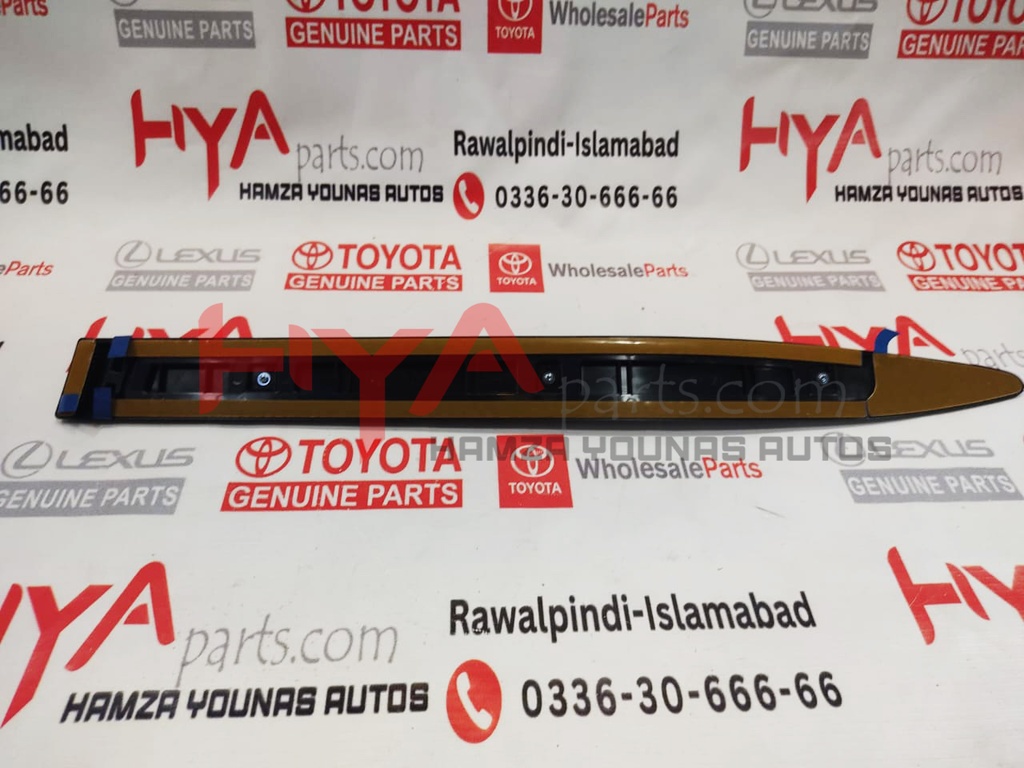 MOULDING, FR DOOR , RH LX 570