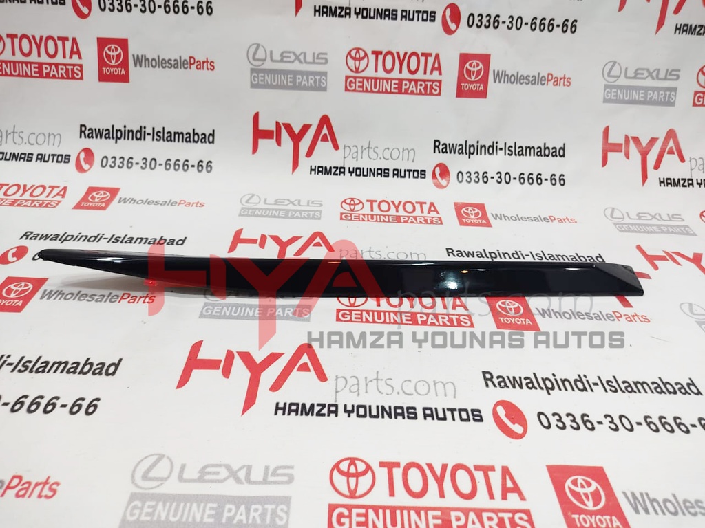MOULDING, RR DOOR , RH LX 570