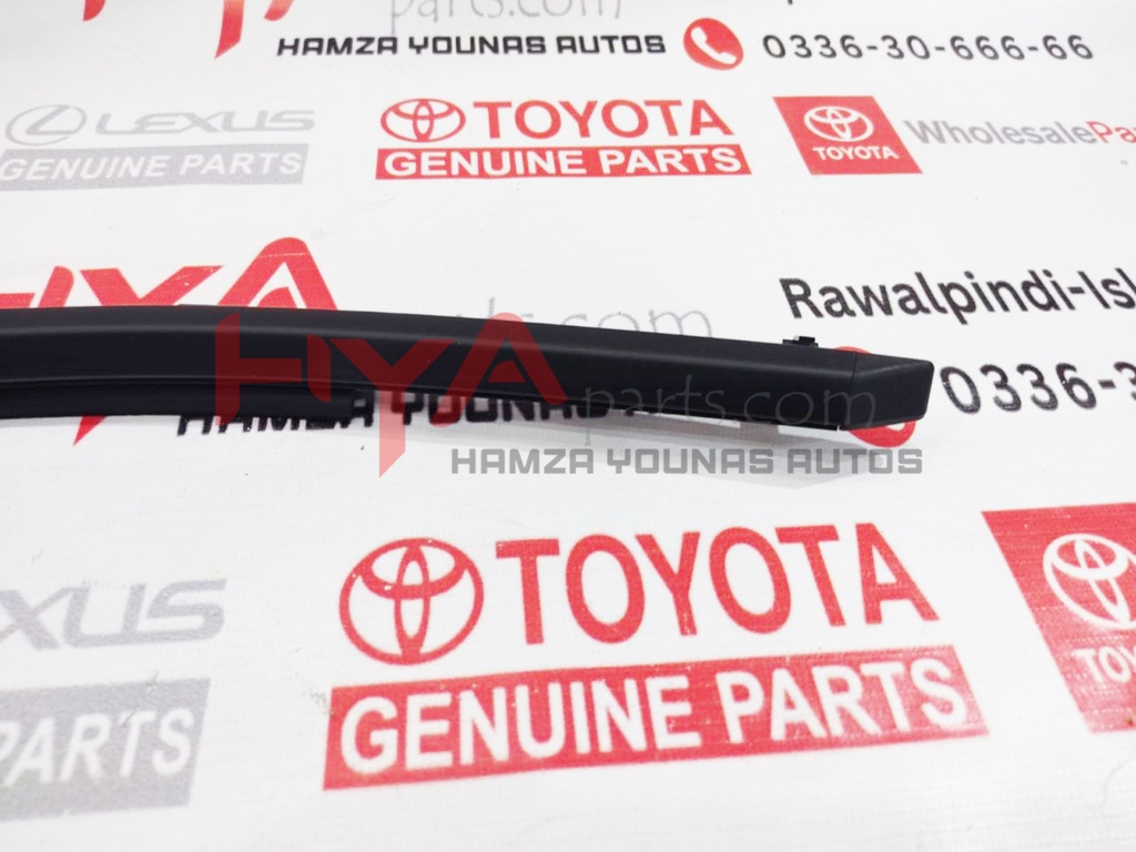 MOULDING ASSY, FRONT DOOR BELT, LH