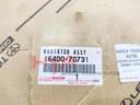 RADIATOR ASSY