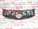 GRILLE, RADIATOR (FRONT SHOW GRILL)