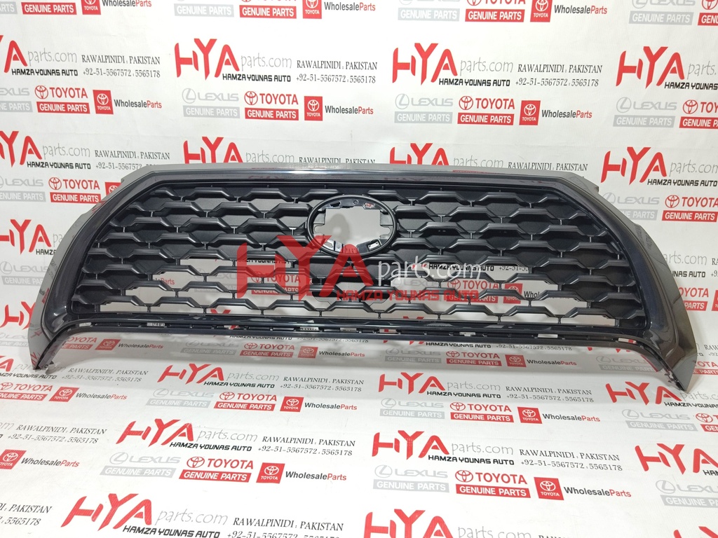 GRILLE, RADIATOR (FRONT SHOW GRILL)