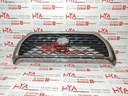GRILLE, RADIATOR (FRONT SHOW GRILL)
