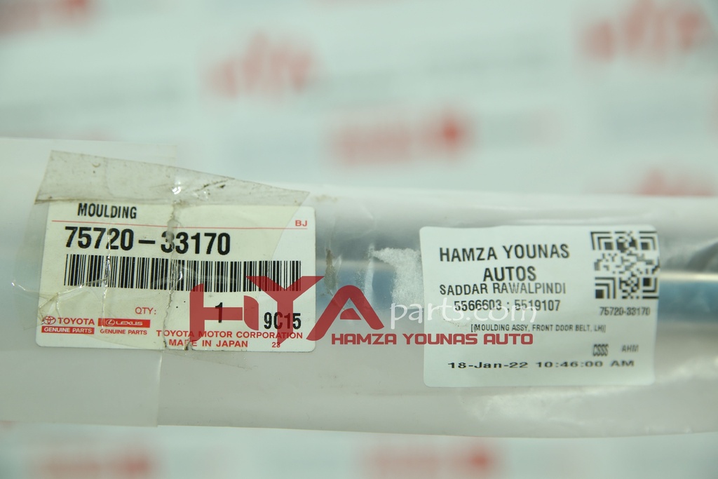 MOULDING ASSY, FRONT DOOR BELT, LH