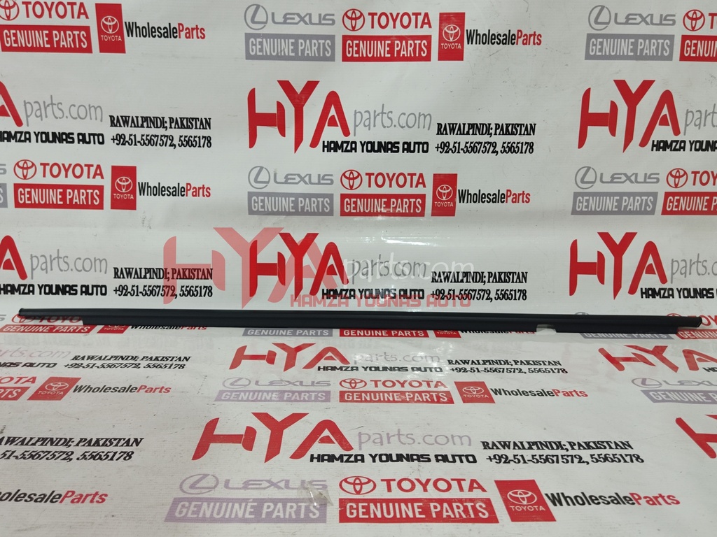 MOULDING, REAR DOOR BELT, RH