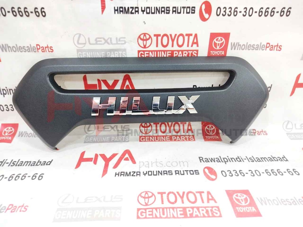 GARNISH SUB-ASSY, BACK DOOR, OUTSIDE