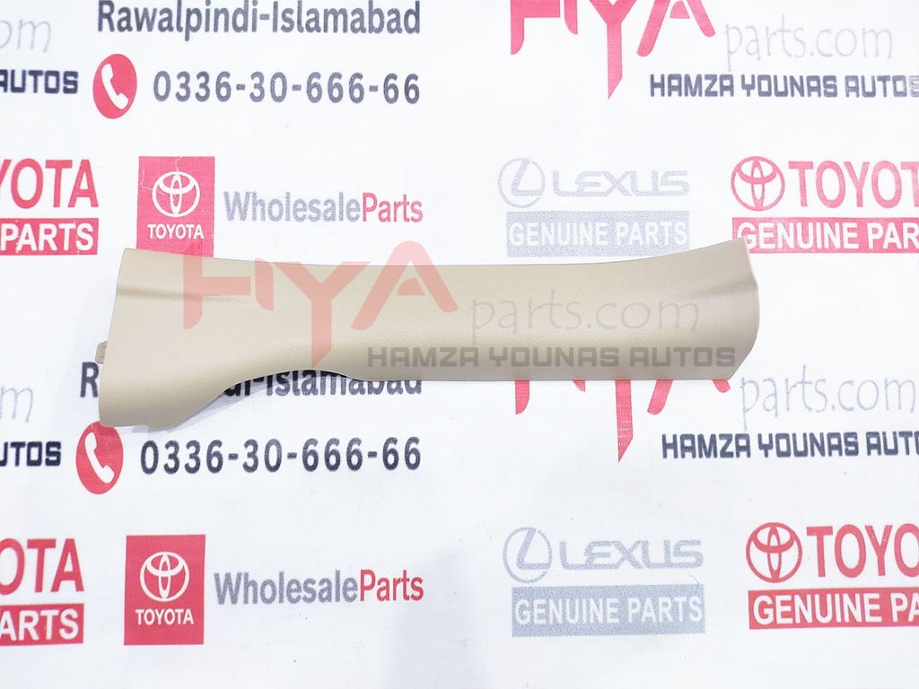 PLATE, RR DOOR SCUFF, LH