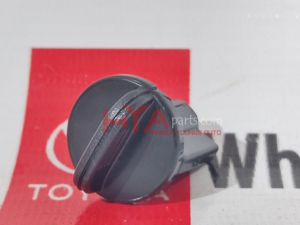 PIN, GLOVE DOOR STOPPER