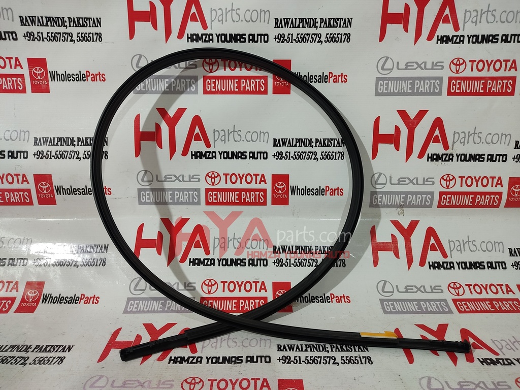 MOULDING, ROOF DRIP SIDE FINISH, CENTER LH