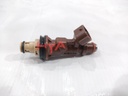 FUEL INJECTORS ASSY
