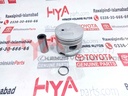 PISTON SUB-ASSY, W/PIN