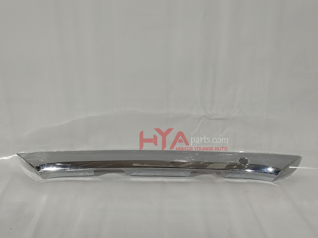 GARNISH SUB-ASSY, BACK DOOR, OUTSIDE CHINA