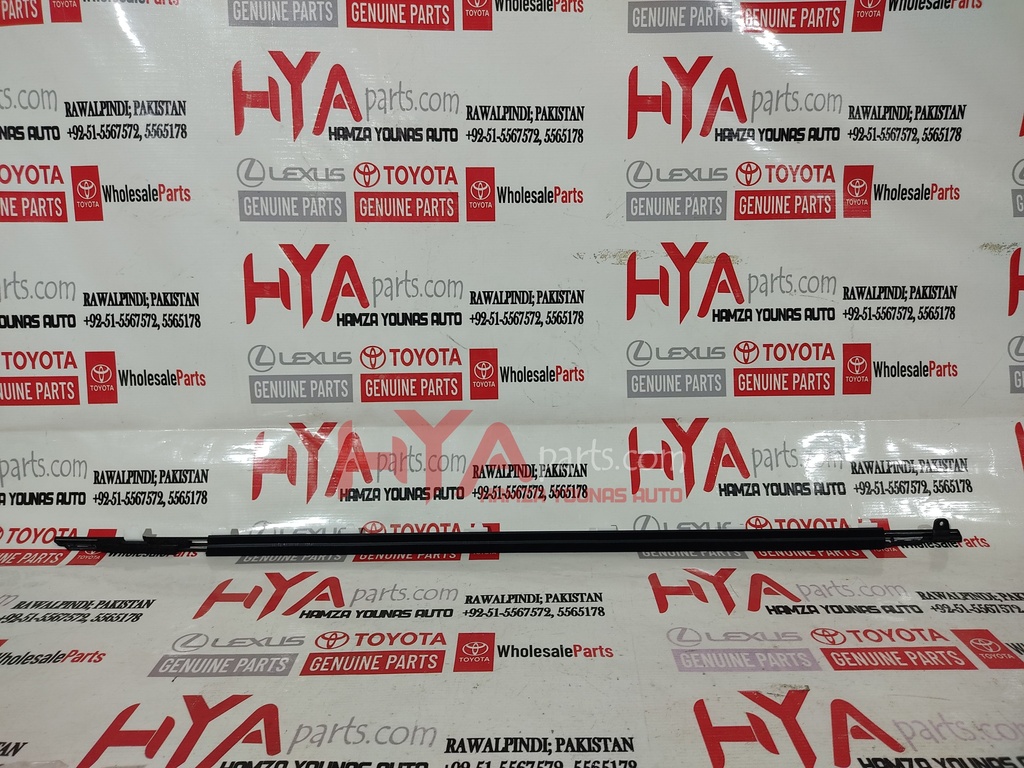 MOULDING ASSY, FRONT DOOR BELT, LH