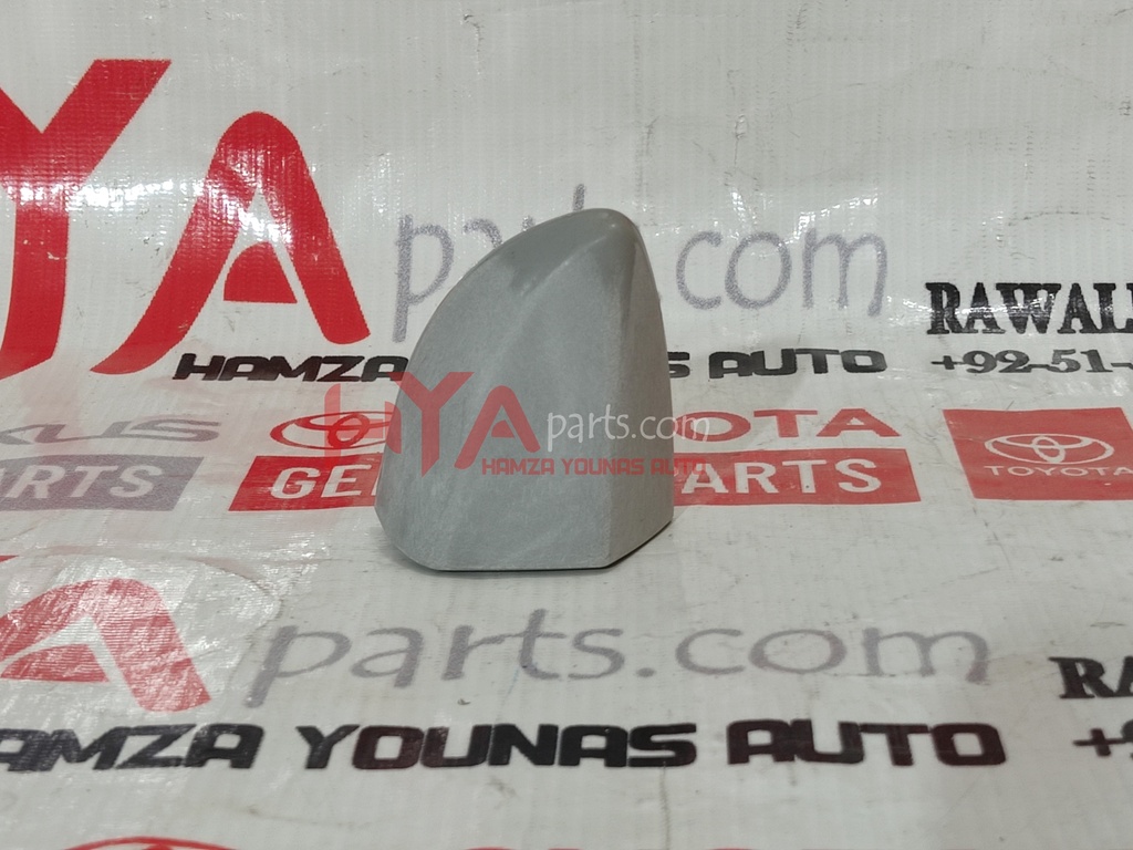 COVER, REAR DOOR OUTSIDE HANDLE, RH