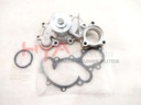 PUMP ASSY, ENGINE WATER (WATER BODY)