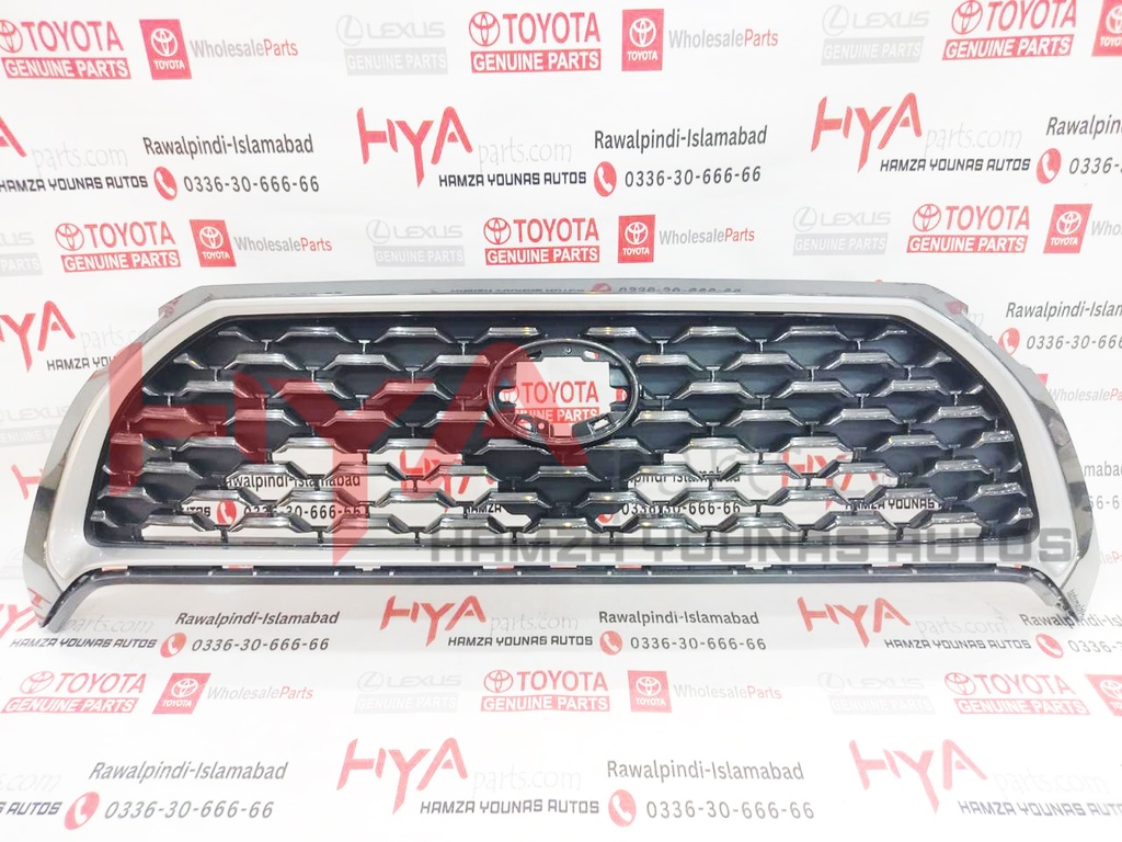GRILLE ASSY, RADIATOR 