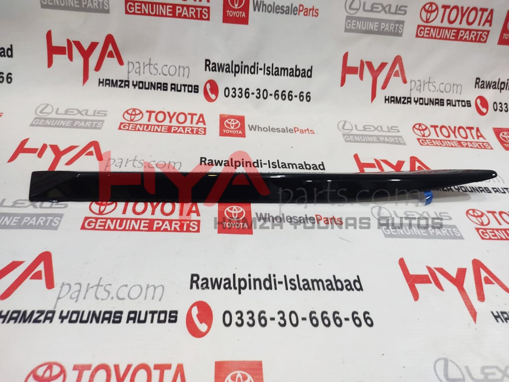 MOULDING, FR DOOR , RH LX 570