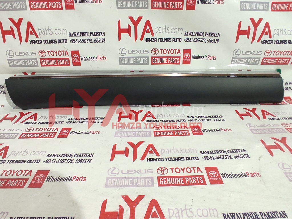 MOULDING SUB-ASSY, FRONT DOOR, OUTSIDE LH