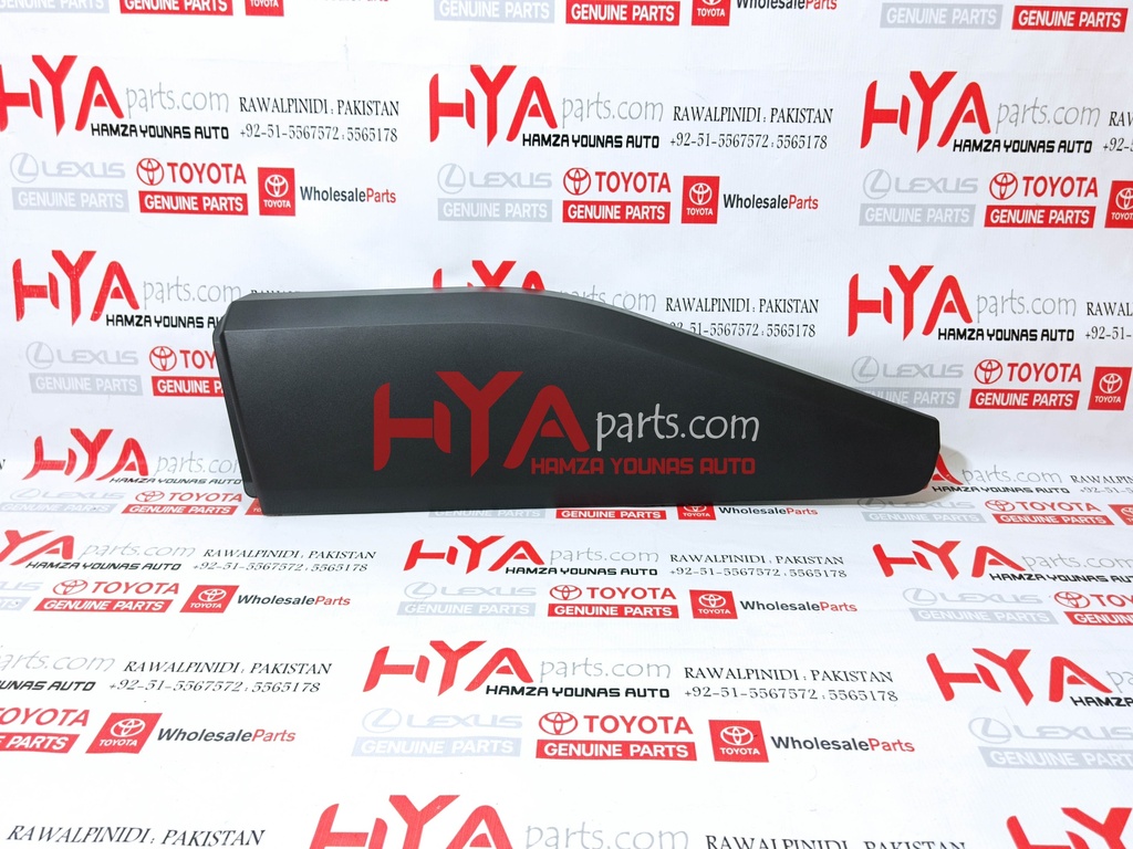 MOLDING REAR DOOR OUTSIDE LOWER LH