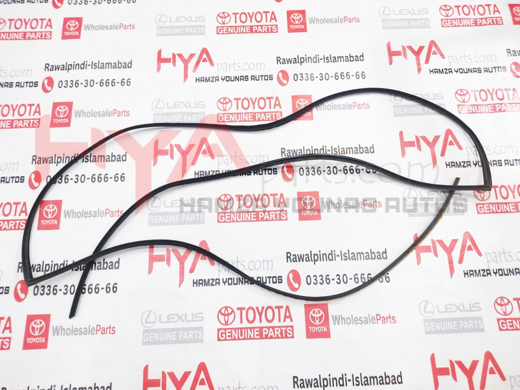 MOULDING, WINDSHIELD