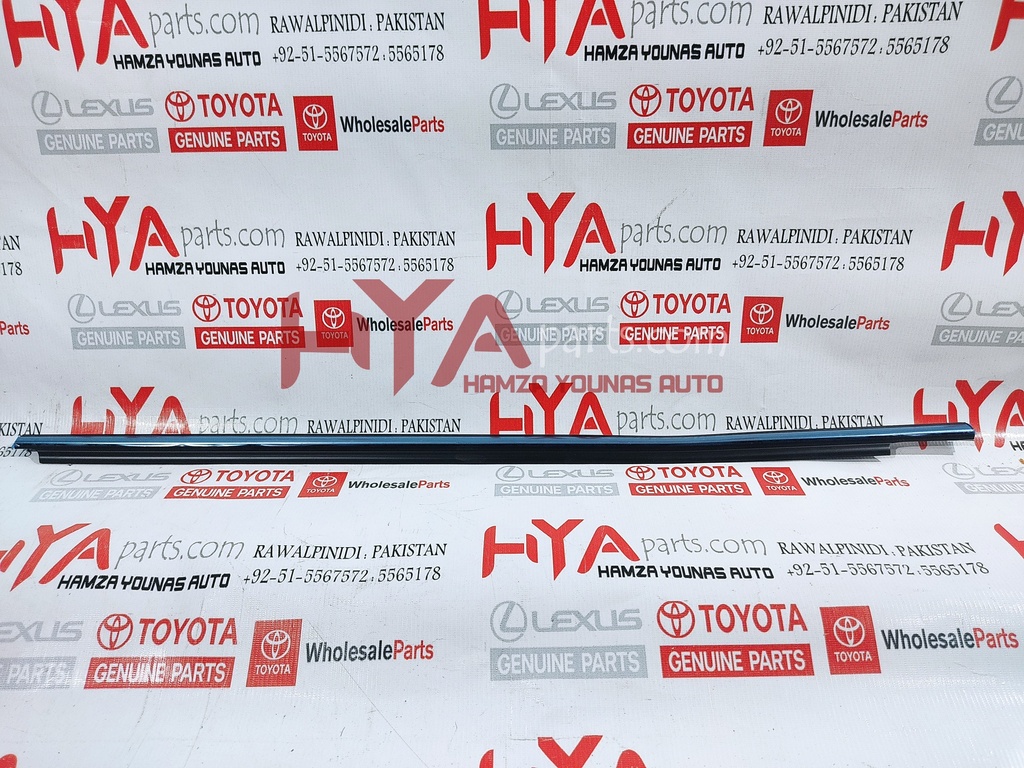 MOULDING ASSY, FRONT DOOR BELT, RH