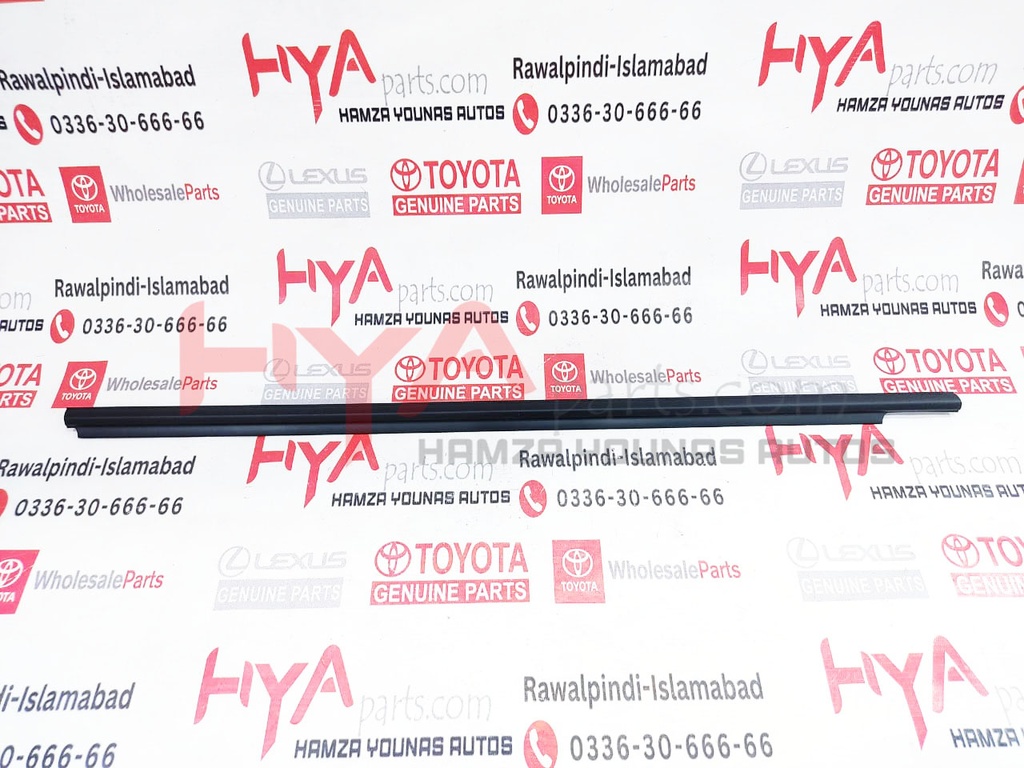 MOULDING, FRONT DOOR BELT, RH