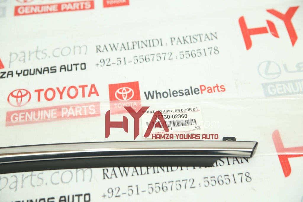 MOULDING ASSY, REAR DOOR BELT, RH