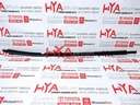 MOULDING ASSY, REAR DOOR BELT, LH