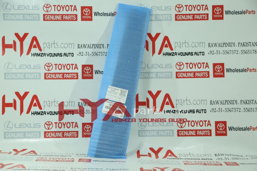 MOULDING, FRONT DOOR WINDOW FRAME, REAR LH